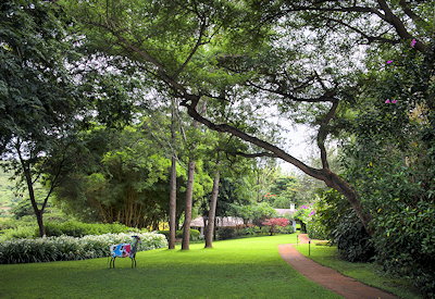 Plantation Lodge views surrounding coffee plantations Ngorongoro highlands Tanzania