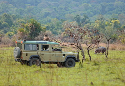 Rubondo Island National Park chimpanzee sitatunga elephant giraffe 300 bird species Tanzania