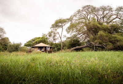 Sanctuary Swala Camp private intimate suite acacia trees waterhole Tarangire Tanzania