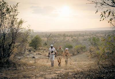 Sand Rivers Selous walking safari armed guide Rufiji River banks Selous Tanzania