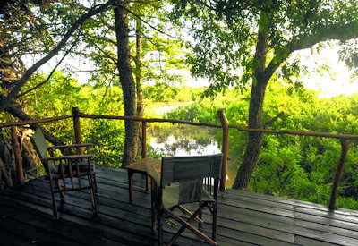 Selous Impala Camp birdwatching 400 species indigenous garden Selous Tanzania