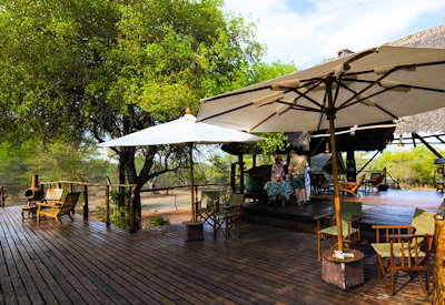Selous Impala Camp wooden viewing deck Rufiji River Selous Game Reserve Tanzania