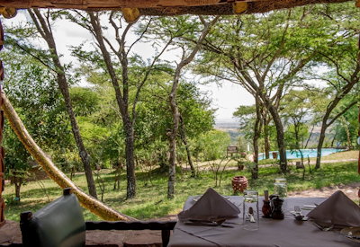 Serengeti Serena Safari Lodge acacia trees forest Serengeti ecosystem Tanzania