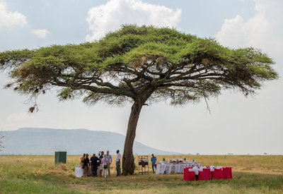 Serengeti Serena Safari Lodge game drives balloon safari Great Migration Tanzania