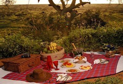Tarangire Sopa Lodge game drives walking safaris Tarangire National Park Tanzania