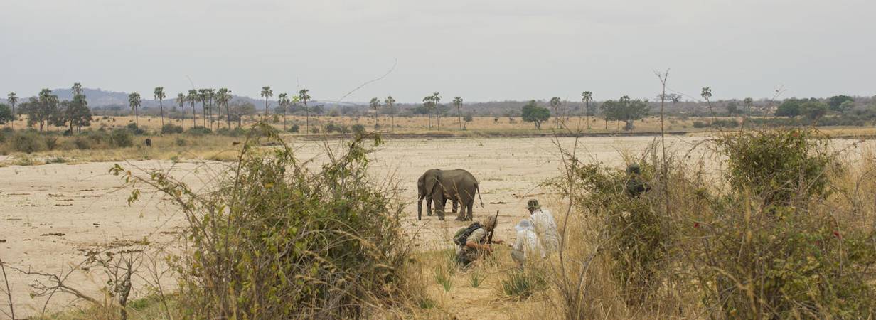 Ruaha National Park