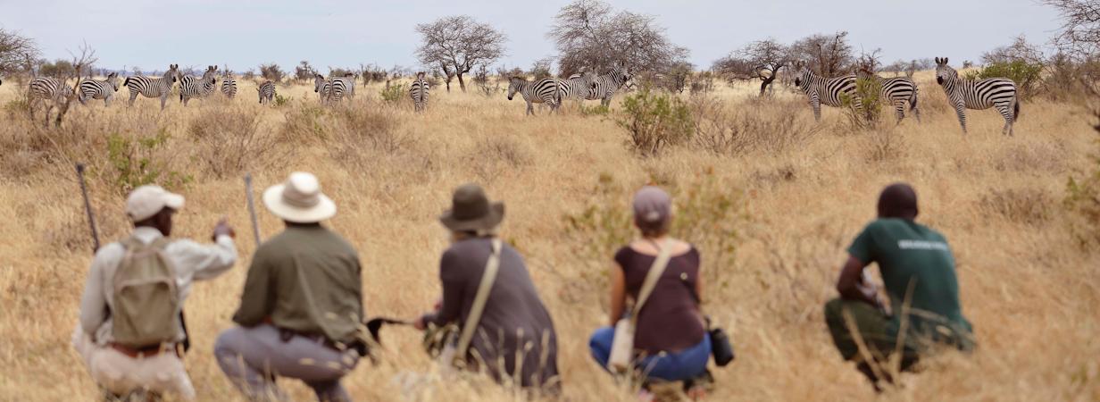 Best Asilia Walking Safari