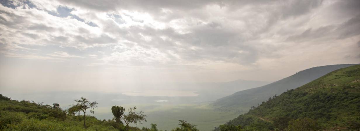 Craters, Creatures and Culture safari