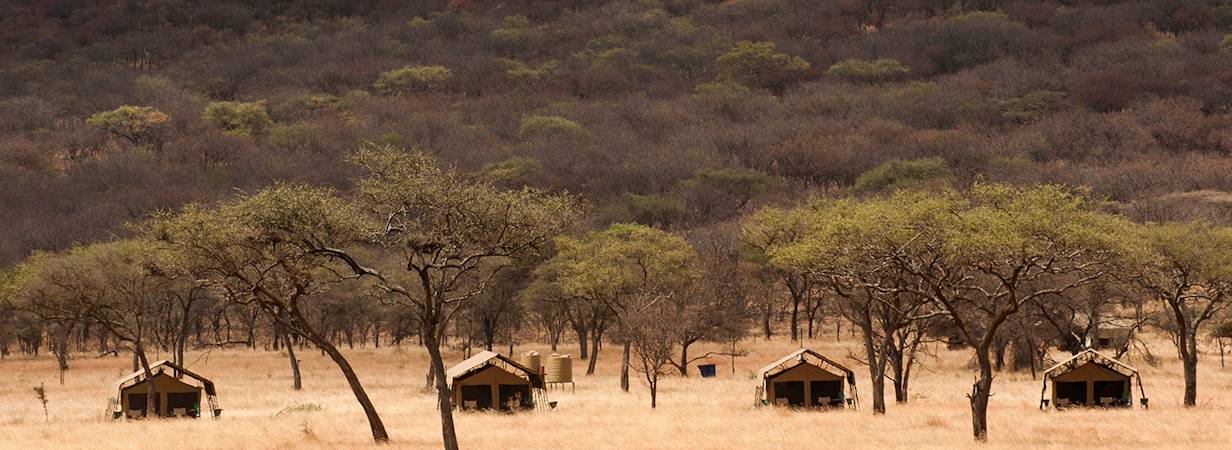 Great Encounters Safari