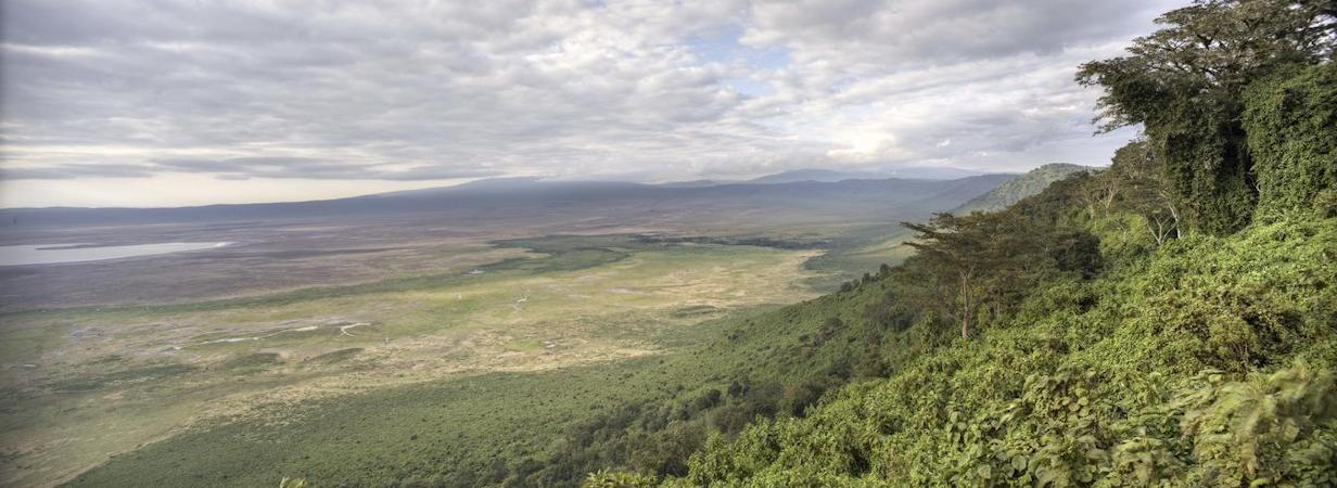 Luxury Tanzania North & South Safari
