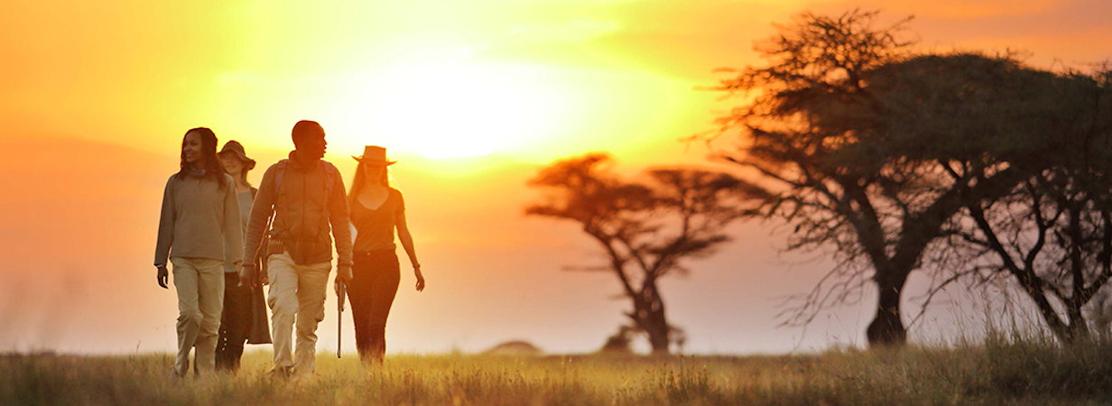 Ngorongoro To Serengeti Walk