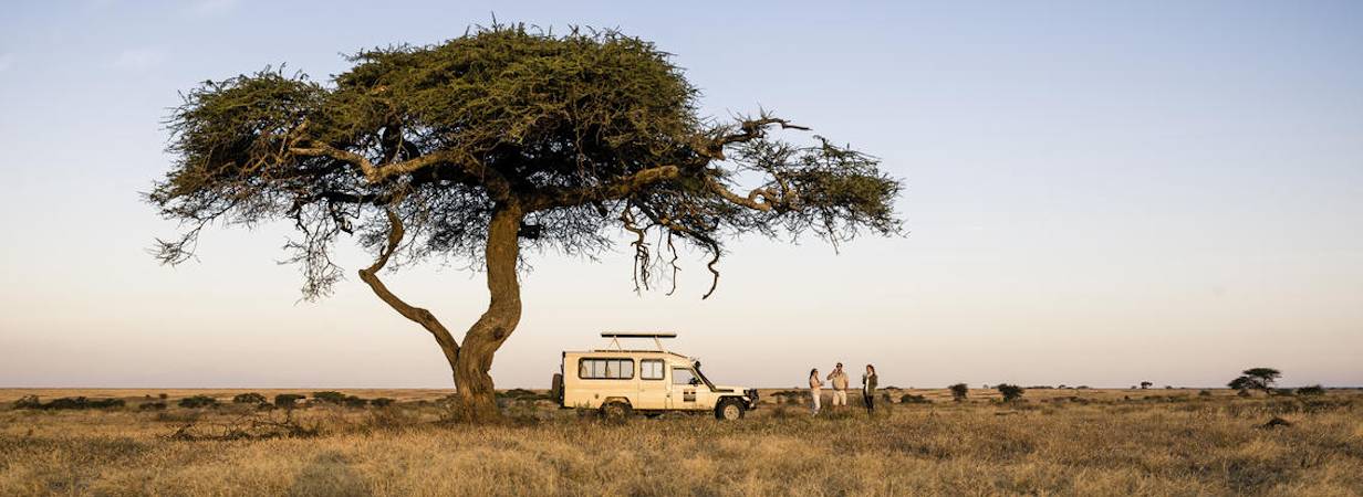 Serengeti Fly In Express