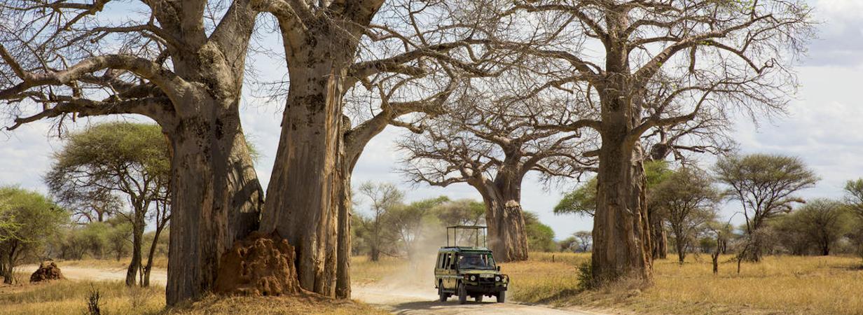 Southern Tanzania & Zanzibar Safari