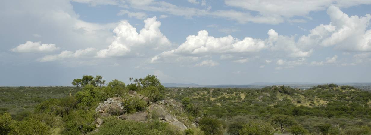 Tanzania Shores and Savannahs