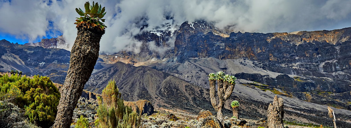 The Marangu Route