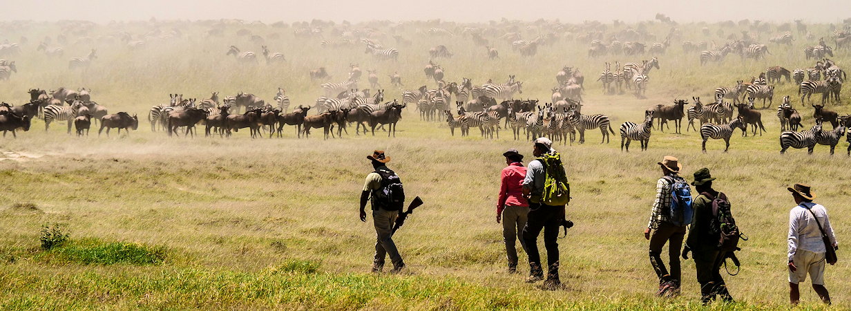Walk The Great Migration
