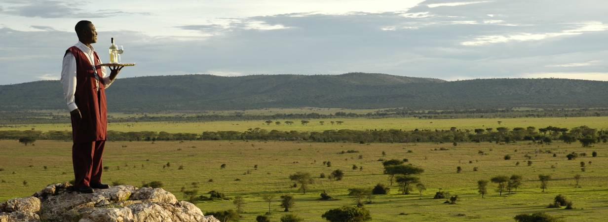 Wild Wings Safari