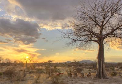 Private walking safari expert guide Asilia Private Safari Tanzania