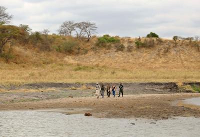 Tarangire National Park walking safari Silale Swamps Minyonyo Pools Best Asilia Walking
