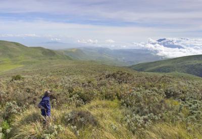 Ngorongoro Crater Big Five walking safari Empakaai flamingos Best Asilia Walking Safari