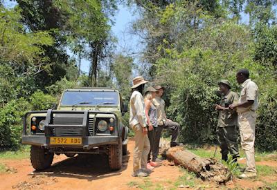 Rubondo Island Camp Lake Victoria chimpanzee habituation Best Asilia Walking Safari