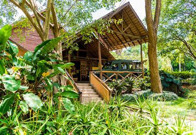 Oliver's Camp Tarangire National Park walking safari baobab Minyonyo Pools Tanzania Asilia