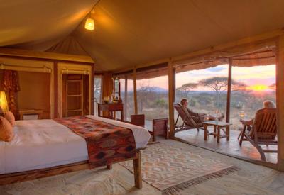 Tarangire National Park elephant herd baobab trees giraffe lion Best of Asilia Crater Safari