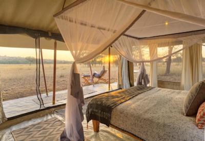 Serengeti National Park game drive open vehicle Best Of Asilia Safari Tanzania