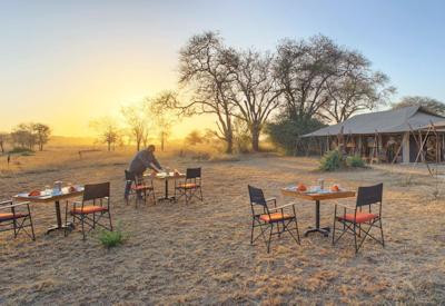 Pilatus light aircraft Serengeti to Ruaha fly-in Best Of Asilia Safari Tanzania