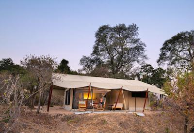 Ruaha National Park lion one-tenth world population sable roan Best Of Asilia Safari