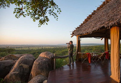 Serengeti National Park game drives lion elephant Big Five Carefree Tanzania Safari