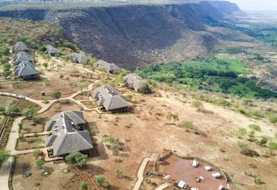 Lake Manyara National Park tree-climbing lions flamingos 400 birds Classic Saffron Safari