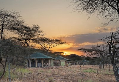Tarangire National Park elephant herds baobab full day game drive Craters Valleys Safari