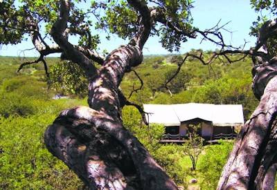 Ngorongoro Crater Big Five picnic lunch Elewana Sky Safari Tanzania