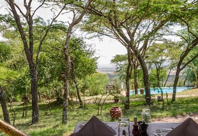 Serengeti National Park game drive Big Five Kifaru Safari Tanzania
