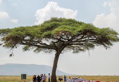 Ngorongoro Serena Lodge crater rim views Kifaru Safari Tanzania
