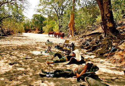 Lolkisale mobile camp fly camp campfire dinner stars Lolkisale Horseback Safari Tanzania