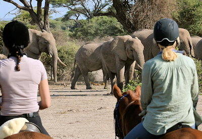 Tarangire National Park eastern gate Silale Swamp Lolkisale Horseback Safari Tanzania