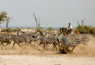 Lolkisale Horseback Safari 4 days Tarangire Tanzania minimum 4 guests
