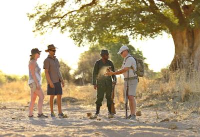Night game drive Ruaha National Park Jabali Ridge Luxury Tanzania North South Safari