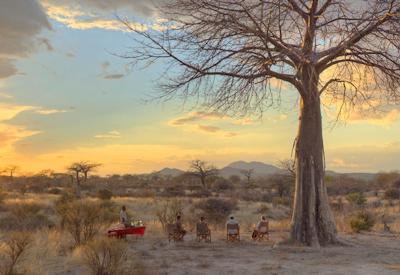 Luxury Tanzania North South fly-in safari 10 days Asilia Africa