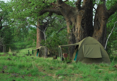 Yaeda Valley Lake Eyasi basin baobab trees Hadzabe hunter-gatherer Meet Hadzabe Tanzania