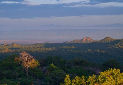 Hadzabe hunter honey gathering baobab berries Yaeda Valley Meet the Hadzabe Tanzania