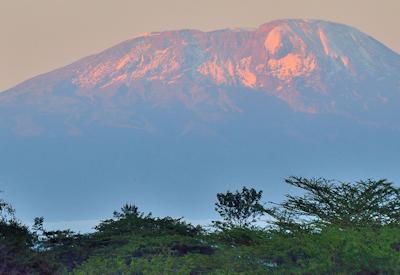 Oliver's Camp Tarangire National Park walking safari baobab Migration Crater Beach Safari