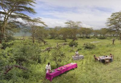 Ngorongoro Crater Big Five black rhino hippo picnic floor Migration Crater Beach Tanzania