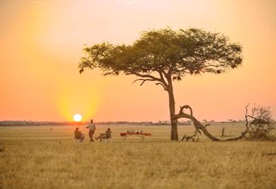 Serengeti National Park lion cheetah leopard Big Five Migration Crater Beach Safari Tanzania