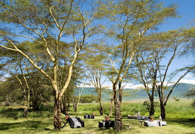 Ngorongoro Crater floor game drive Big Five black rhino 30000 mammals Ngorongoro Fly In Express