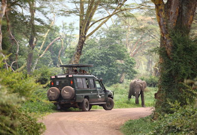 Ngorongoro Conservation Area crater rim views Maasai land Ngorongoro Fly In Express
