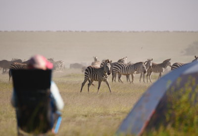 Olmoti Crater descent Ngorongoro Highlands fly camp buffalo birdlife Tanzania