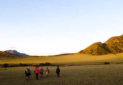 Serengeti plains kopjes on foot walking safari fly camp Ngorongoro Serengeti Walk